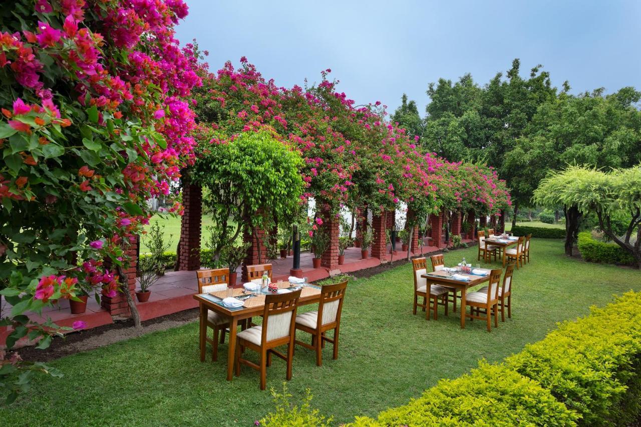 Naturoville Wellness Resort Rishikesh - Surrounded By Nature, Rooted In Wellness Doiwāla Kültér fotó